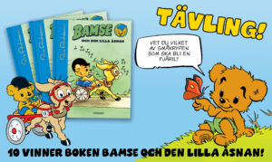 bamse 18 21 tävling