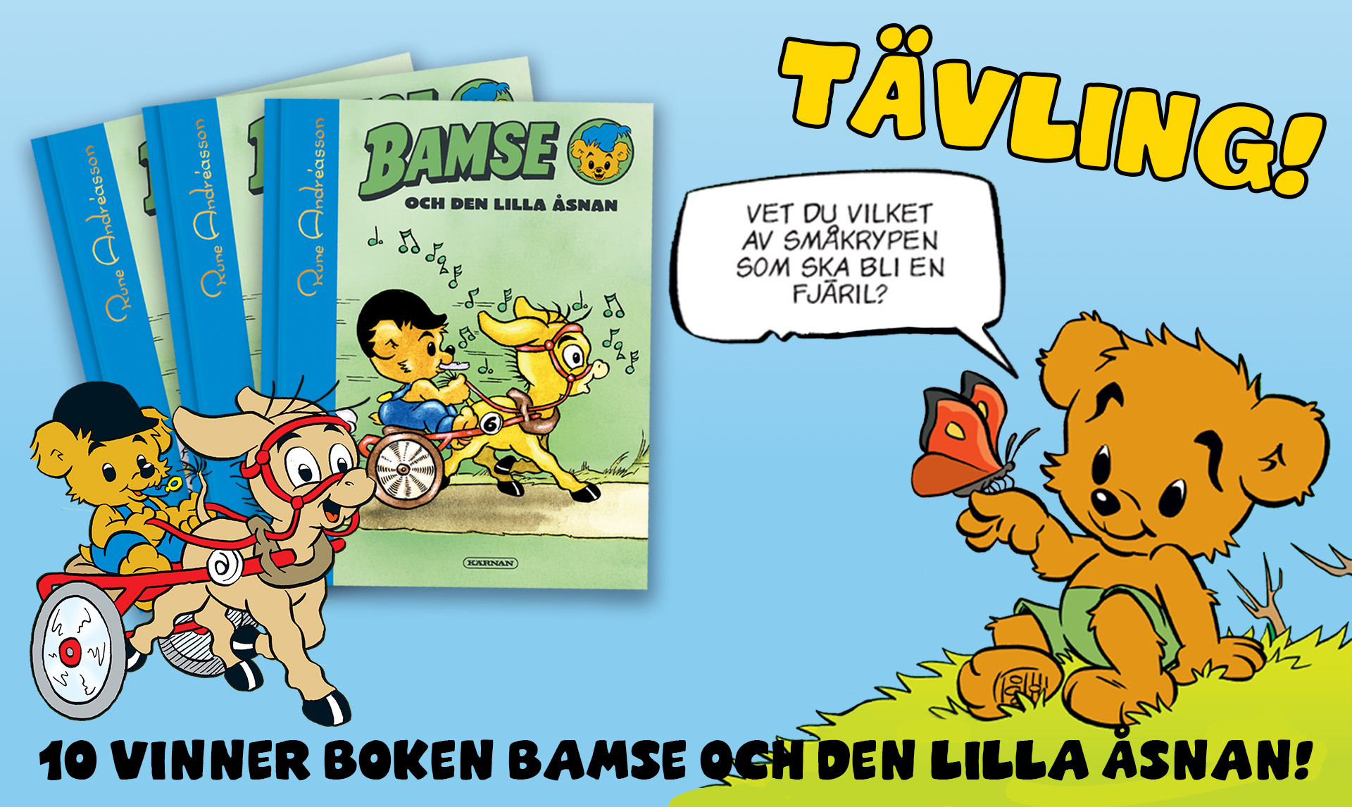 bamse 18 21 tävling