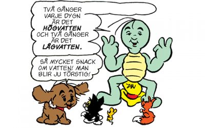 Lär dig mer om tidvatten och gravitation