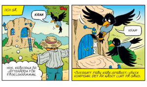bamse 18 21 tävling