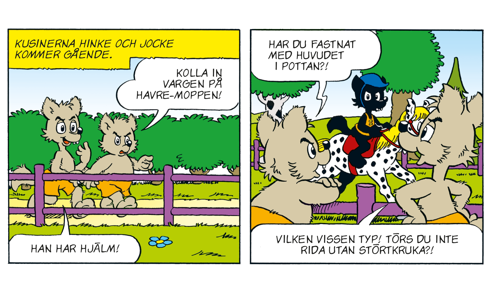 bamse 18 21 tävling