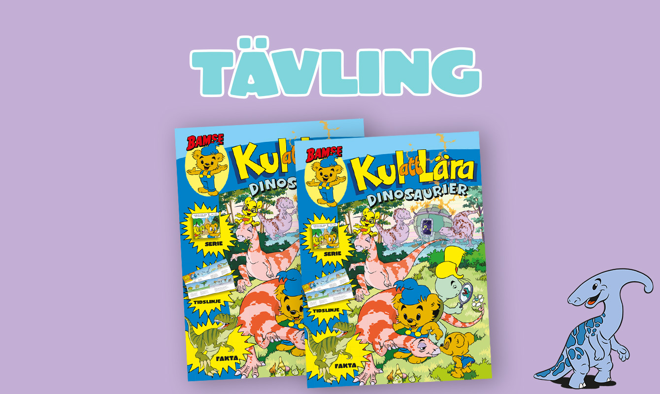 bamse 18 21 tävling