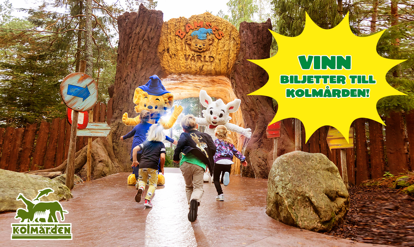 bamse 18 21 tävling