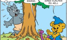 Bamse Nyhetsbrev nummer 16