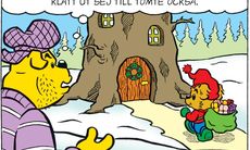Bamse Nyhetsbrev nummer 17